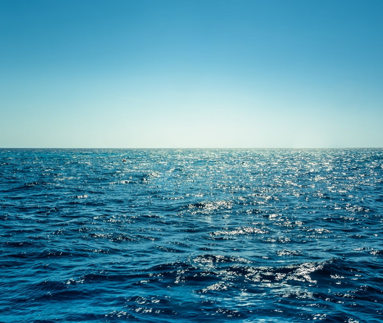 Partnership with a legal agency